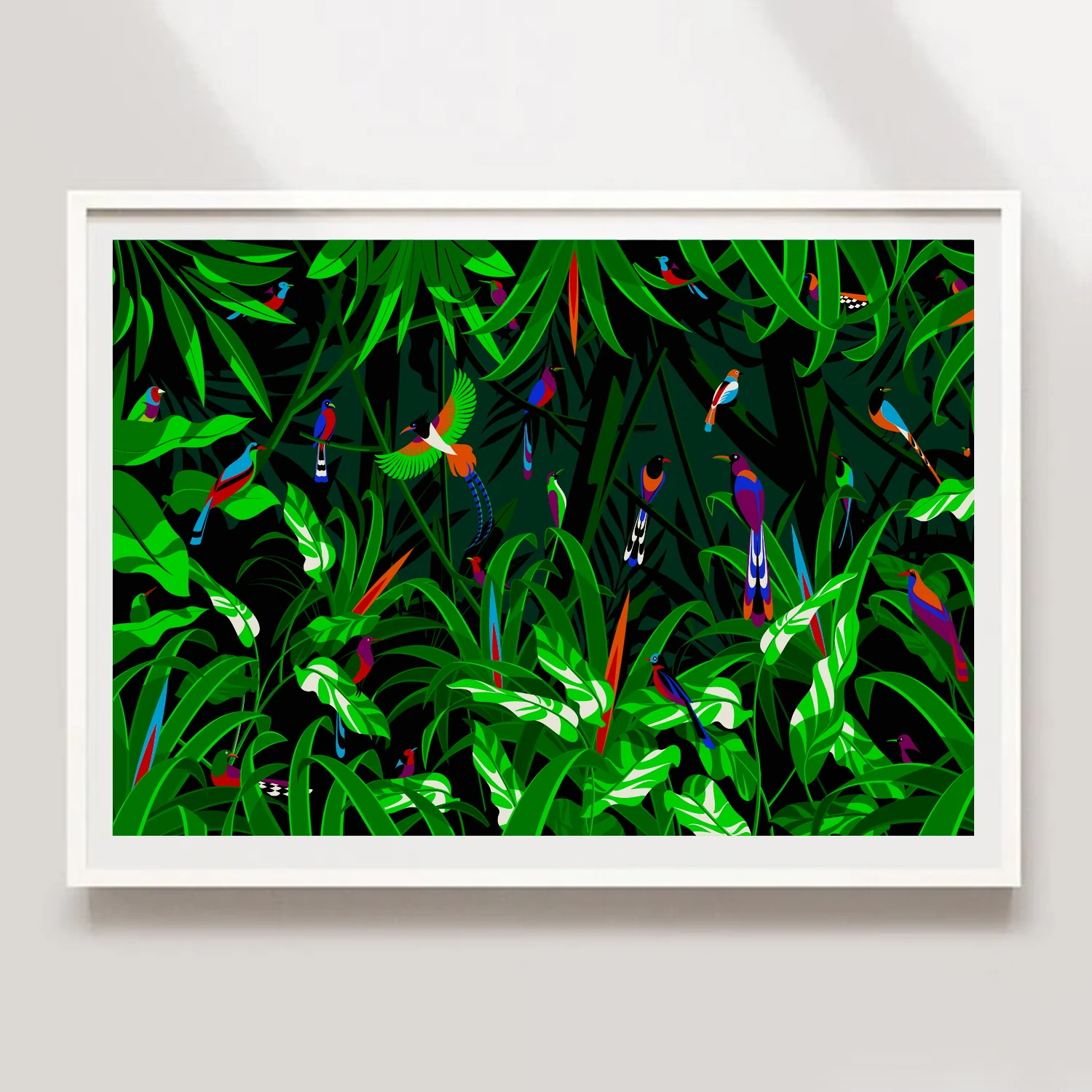 Birds of Paradise - Image 6
