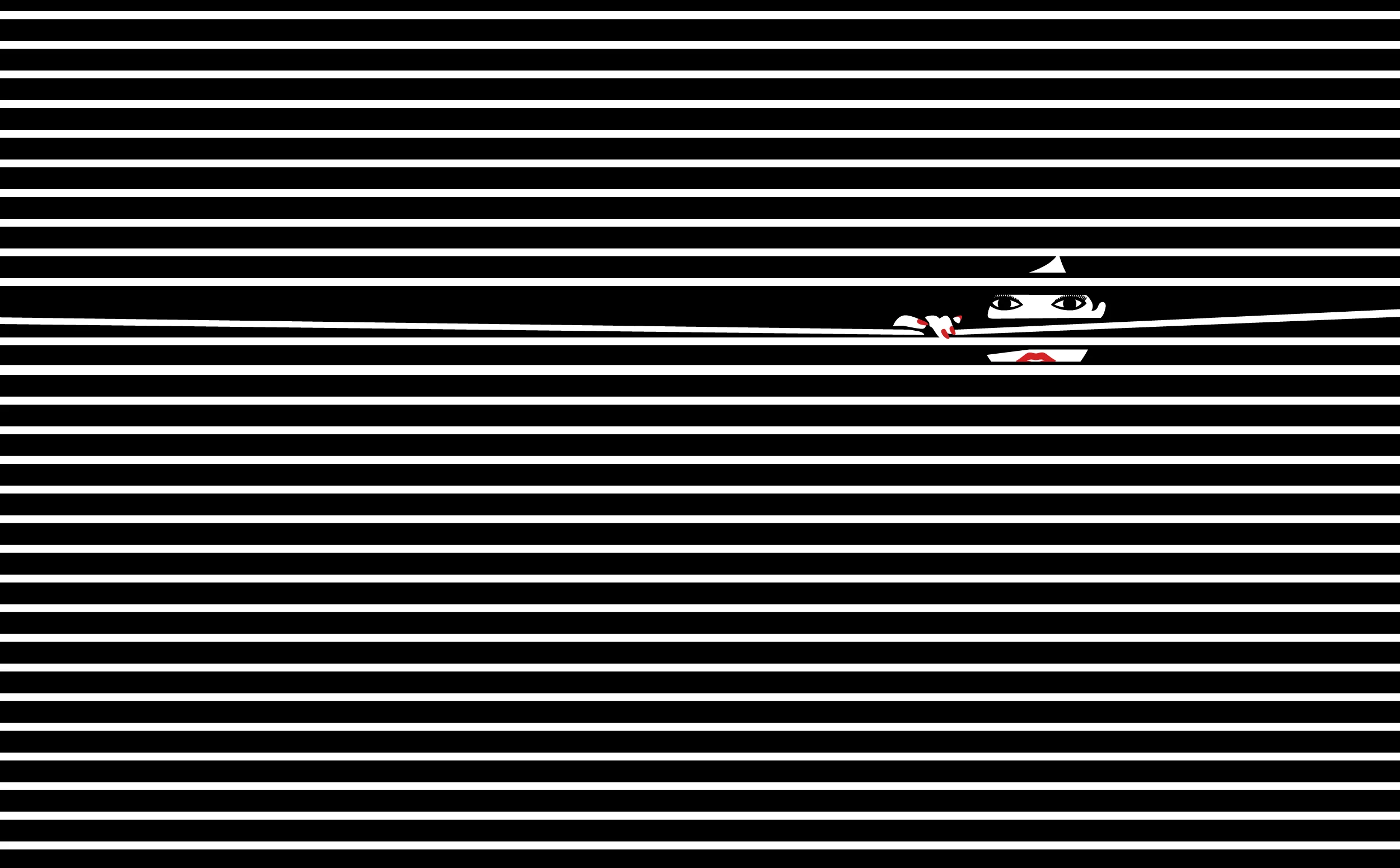 Hide & Seek - Blinds - Image 4