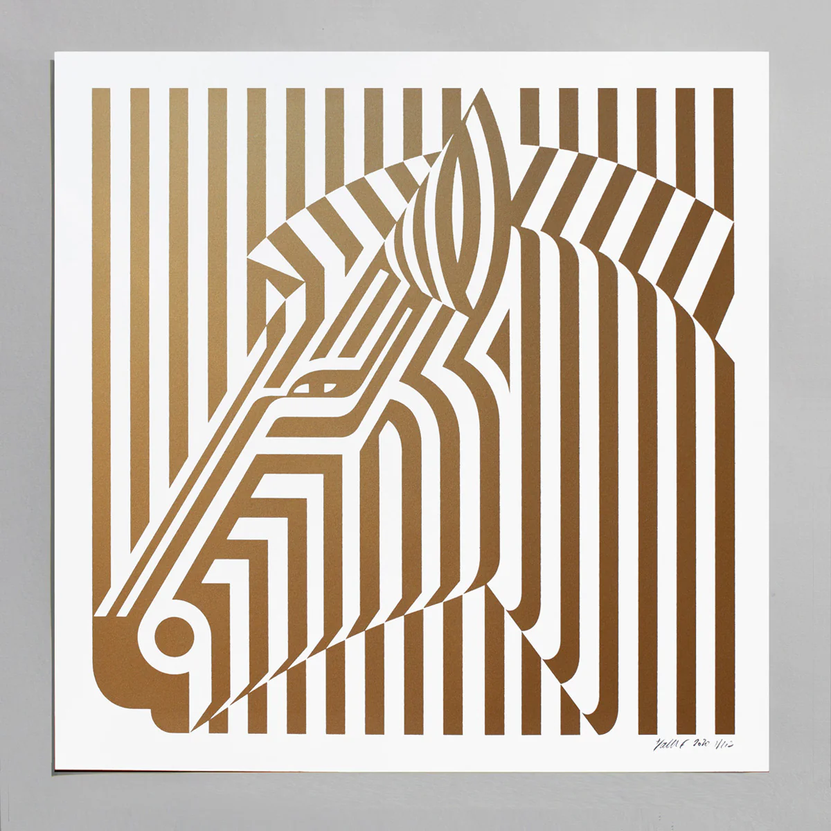 Zèbre - Image 3